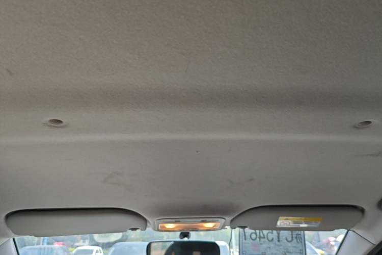 Used SOL E10X 2022 Flower Fairy Design Four-Leaf Clover Headliner