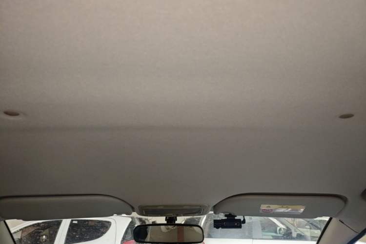 Used SOL E10X 2022 Flower Fairy Design Four-Leaf Clover Headliner