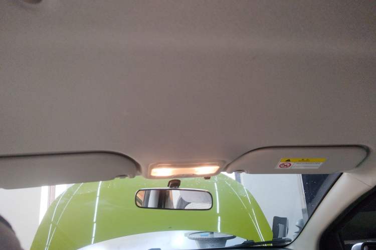 Used SOL E10X 2022 Flower Fairy Style Baby's Breath Headliner