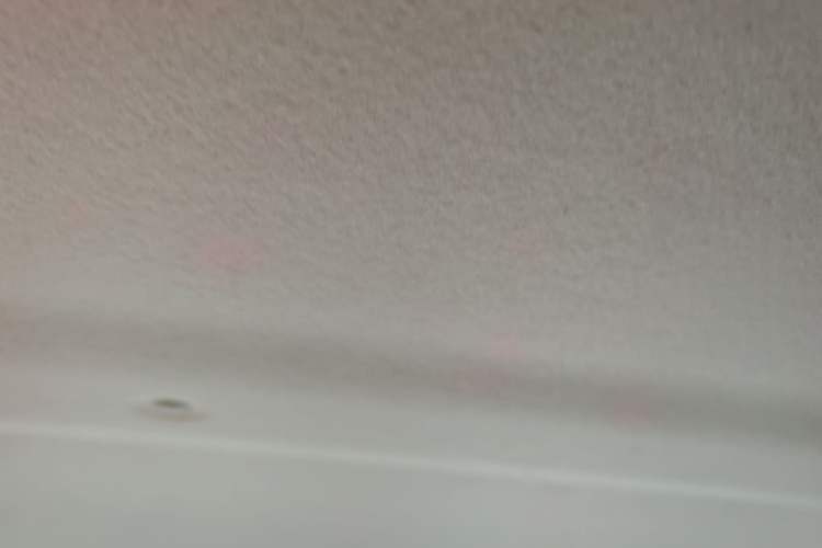 Used SOL E10X 2022 Flower Fairy Design Four-Leaf Clover Headliner