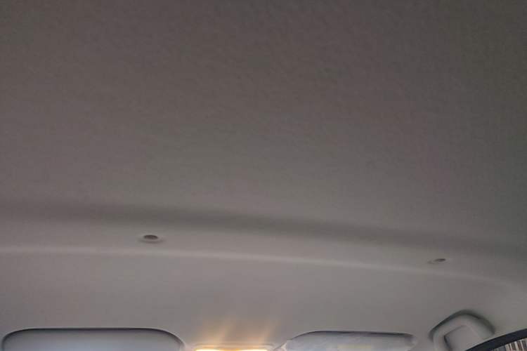 Used SOL E10X 2022 Flower Fairy Style Baby's Breath Headliner