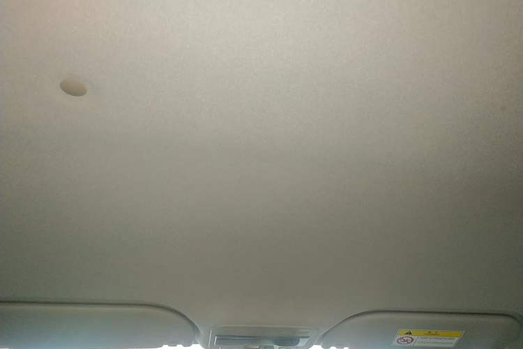Used SOL E10X 2022 Flower Fairy Style Baby's Breath Headliner