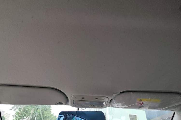 Used SOL E10X 2022 Flower Fairy Style Baby's Breath Headliner