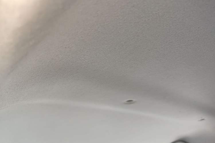 Used SOL E10X 2022 Flower Fairy Design Four-Leaf Clover Headliner
