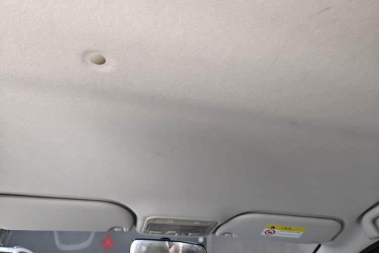 Used SOL E10X 2022 Flower Fairy Style Baby's Breath Headliner