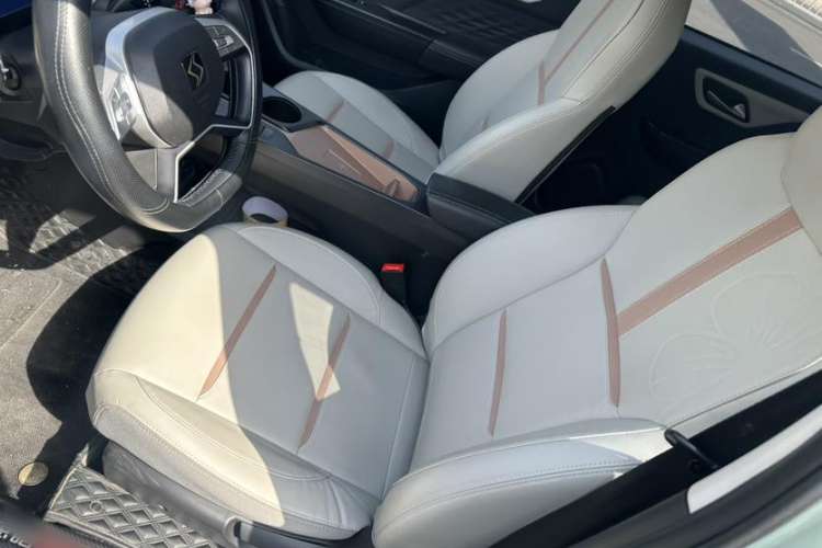 Used SOL E10X 2022 Flower Fairy Style Baby's Breath Interior 1