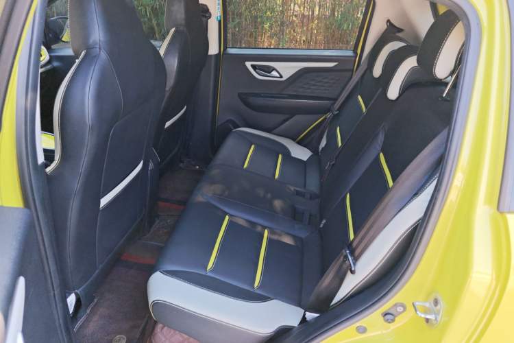 Used SOL E10X 2022 Flower Fairy Style Baby's Breath Interior 1