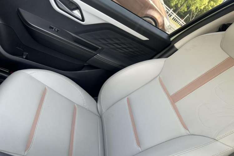 Used SOL E10X 2022 Flower Fairy Style Baby's Breath Interior 3