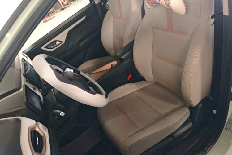 Used SOL E10X 2022 Flower Fairy Design Four-Leaf Clover Left Front Seat