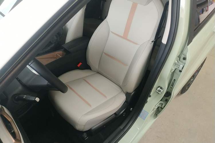 Used SOL E10X 2022 Flower Fairy Style Baby's Breath Left Front Seat