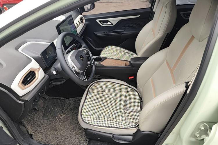 Used SOL E10X 2022 Flower Fairy Style Baby's Breath Left Front Seat