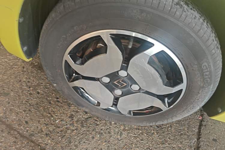 Used SOL E10X 2022 Flower Fairy Style Baby's Breath Left Front Wheel Hub