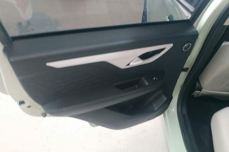 Used SOL E10X 2022 Flower Fairy Style Baby's Breath Left Rear Door Interior
