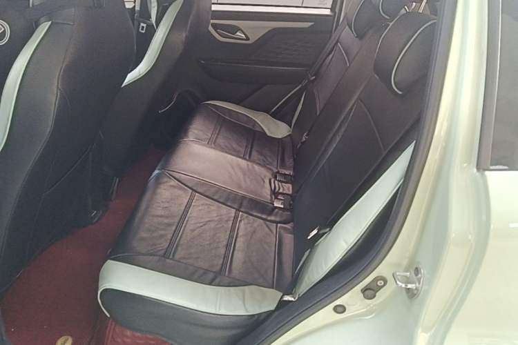 Used SOL E10X 2022 Flower Fairy Design Four-Leaf Clover Left Rear Seat