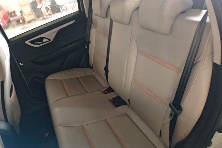 Used SOL E10X 2022 Flower Fairy Design Four-Leaf Clover Left Rear Seat