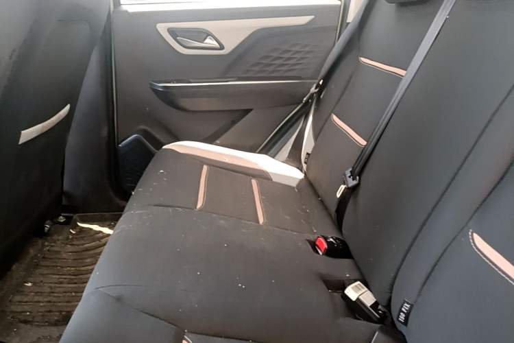 Used SOL E10X 2022 Flower Fairy Style Baby's Breath Left Rear Seat