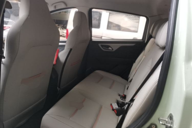 Used SOL E10X 2022 Flower Fairy Design Four-Leaf Clover Left Rear Seat