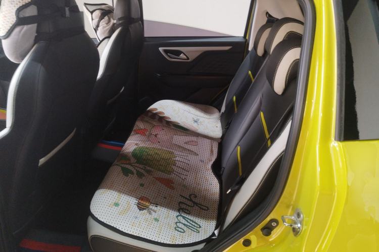Used SOL E10X 2022 Flower Fairy Style Baby's Breath Left Rear Seat