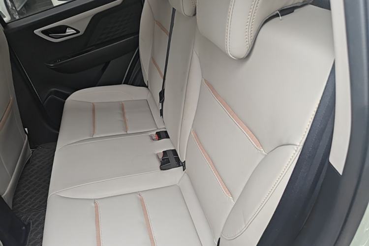 Used SOL E10X 2022 Flower Fairy Design Four-Leaf Clover Left Rear Seat
