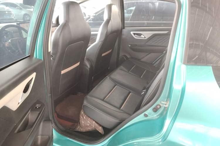 Used SOL E10X 2022 Flower Fairy Style Baby's Breath Left Rear Seat
