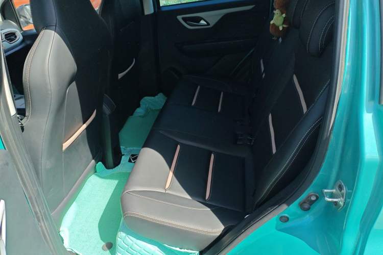 Used SOL E10X 2022 Flower Fairy Design Four-Leaf Clover Left Rear Seat