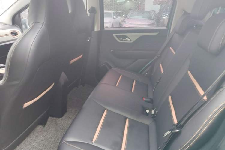 Used SOL E10X 2022 Flower Fairy Style Baby's Breath Left Rear Seat