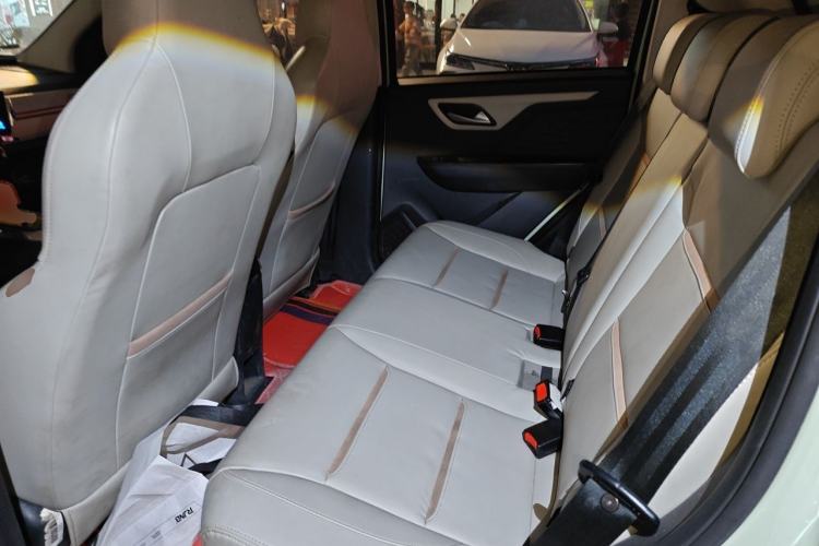 Used SOL E10X 2022 Flower Fairy Design Four-Leaf Clover Left Rear Seat