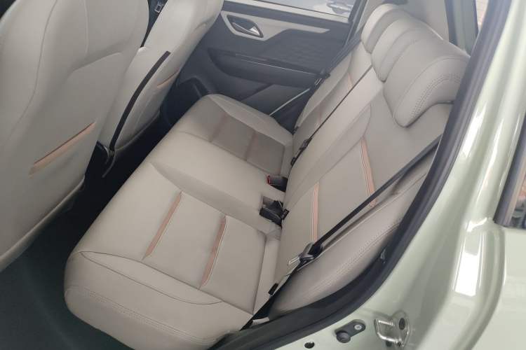 Used SOL E10X 2022 Flower Fairy Design Four-Leaf Clover Left Rear Seat