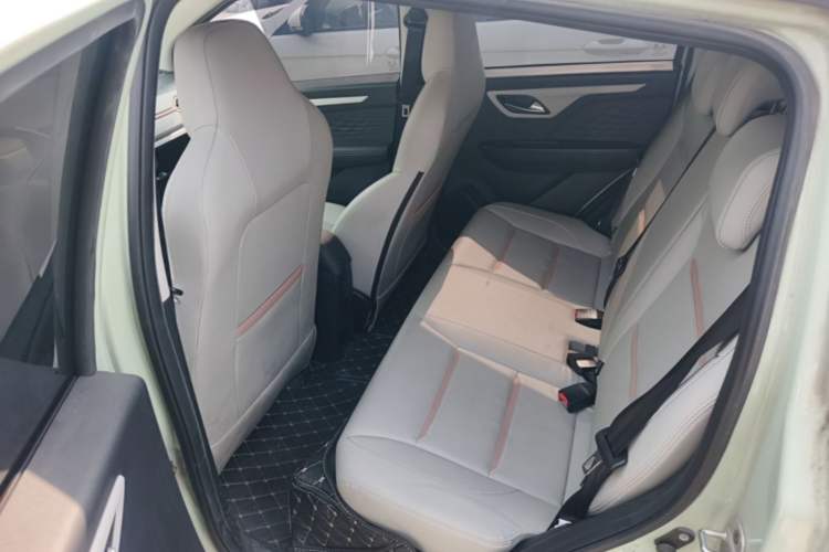 Used SOL E10X 2022 Flower Fairy Design Four-Leaf Clover Left Rear Seat