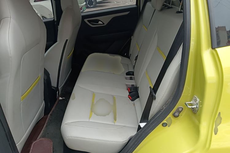 Used SOL E10X 2022 Flower Fairy Design Four-Leaf Clover Left Rear Seat