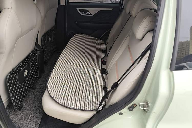 Used SOL E10X 2022 Flower Fairy Style Baby's Breath Left Rear Seat