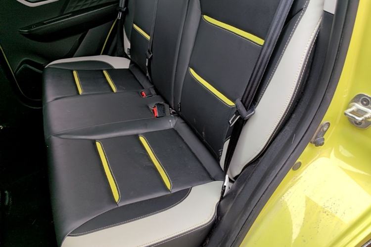Used SOL E10X 2022 Flower Fairy Design Four-Leaf Clover Left Rear Seat