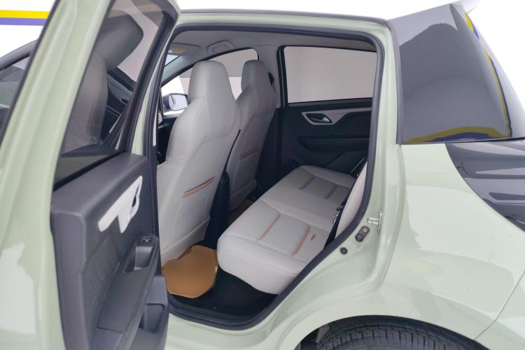 Used SOL E10X 2022 Flower Fairy Design Four-Leaf Clover Left Rear Seat