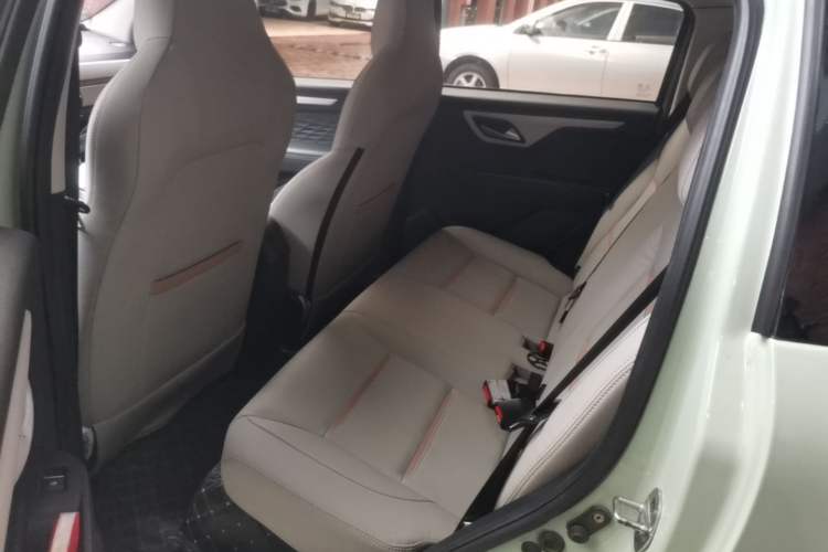 Used SOL E10X 2022 Flower Fairy Design Four-Leaf Clover Left Rear Seat