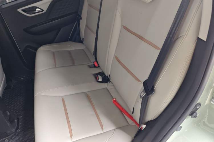 Used SOL E10X 2022 Flower Fairy Style Baby's Breath Left Rear Seat