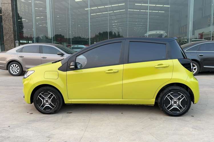 Used SOL E10X 2022 Flower Fairy Design Four-Leaf Clover Left Side