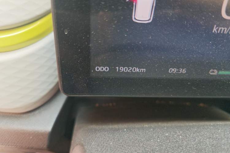 Used SOL E10X 2022 Flower Fairy Style Baby's Breath Odometer Close Up