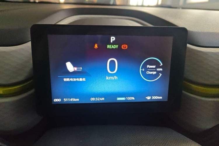Used SOL E10X 2022 Flower Fairy Design Four-Leaf Clover Odometer Close Up