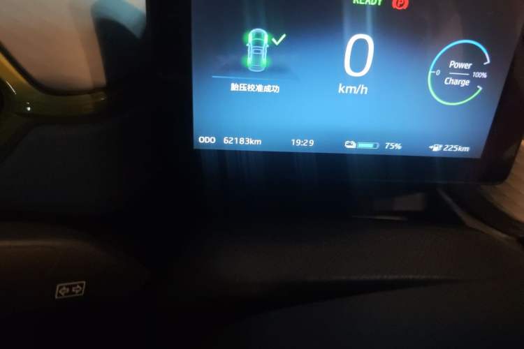 Used SOL E10X 2022 Flower Fairy Design Four-Leaf Clover Odometer Close Up