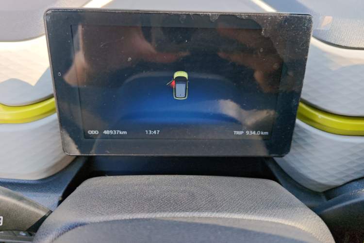 Used SOL E10X 2022 Flower Fairy Style Baby's Breath Odometer Close Up