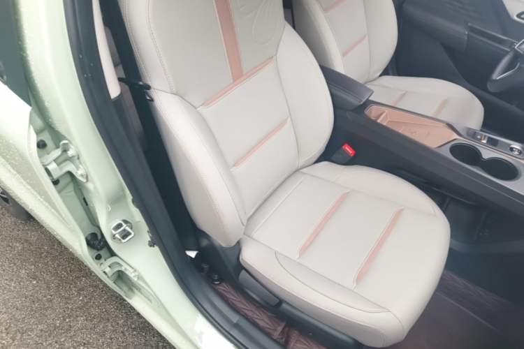 Used SOL E10X 2022 Flower Fairy Design Sunflower Right Front Seat