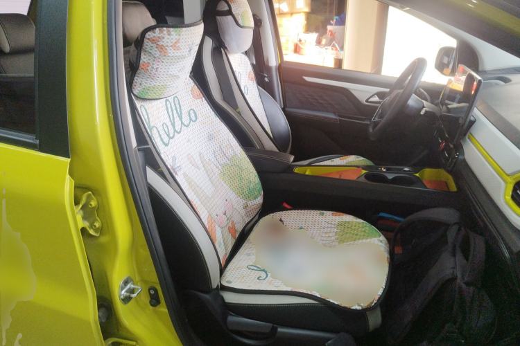 Used SOL E10X 2022 Flower Fairy Style Baby's Breath Right Front Seat