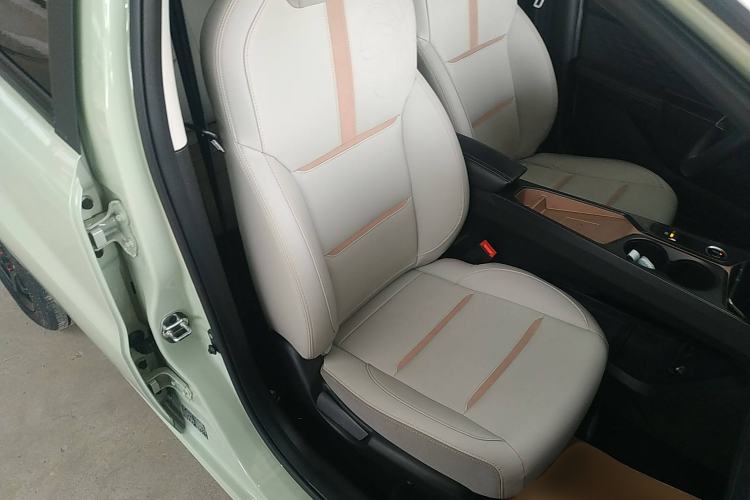 Used SOL E10X 2022 Flower Fairy Style Baby's Breath Right Front Seat