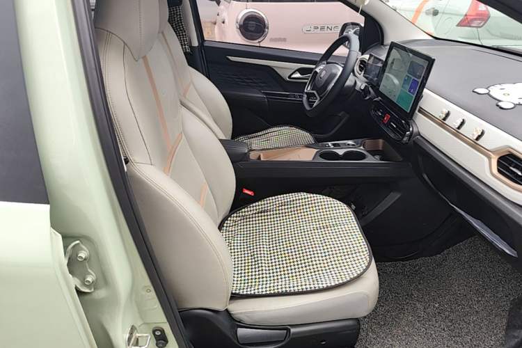 Used SOL E10X 2022 Flower Fairy Style Baby's Breath Right Front Seat