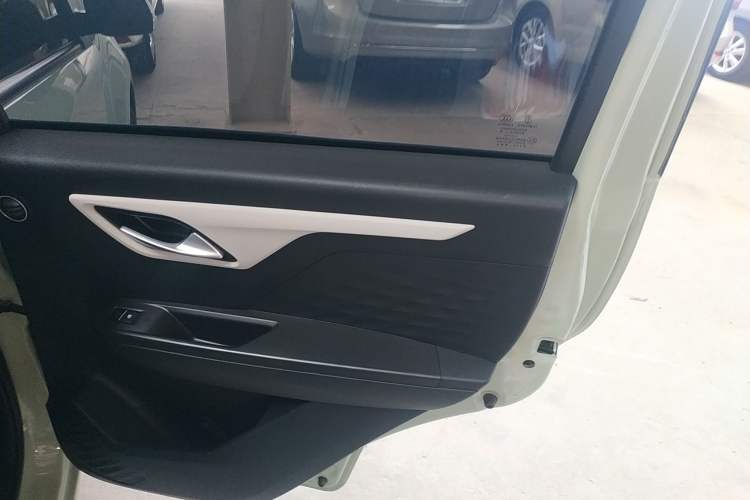 Used SOL E10X 2022 Flower Fairy Style Baby's Breath Right Rear Door Interior