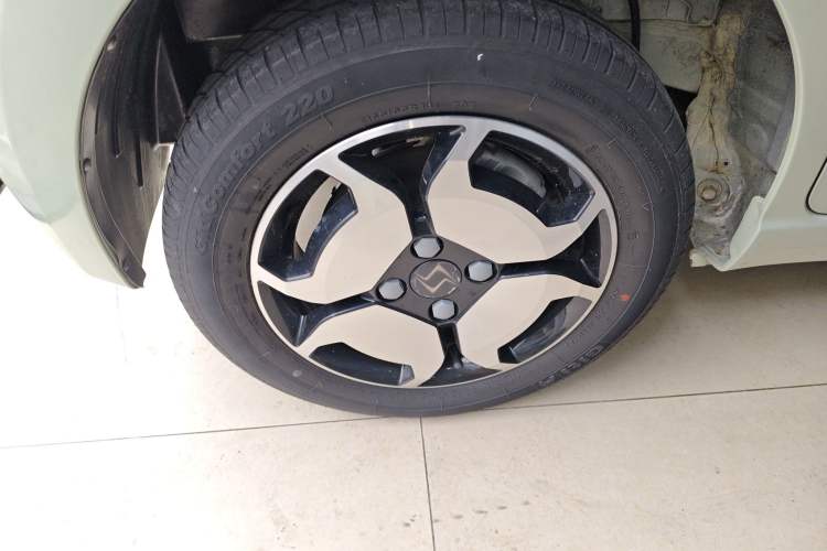 Used SOL E10X 2022 Flower Fairy Style Baby's Breath Right Rear Wheel Hub