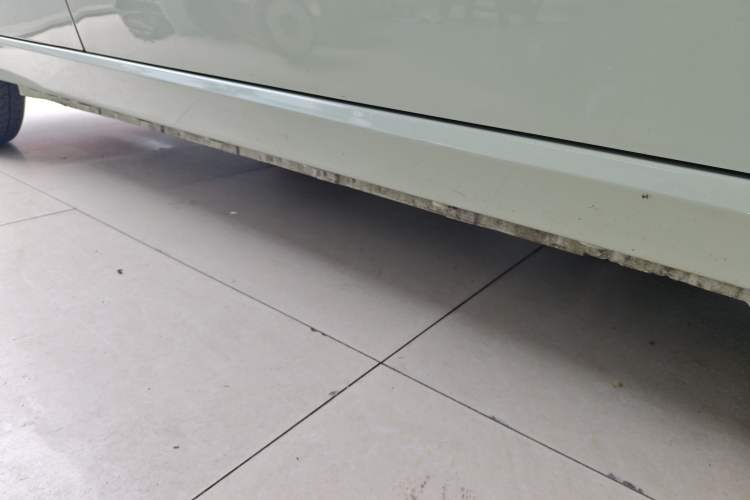 Used SOL E10X 2022 Flower Fairy Style Baby's Breath Right Side Sill