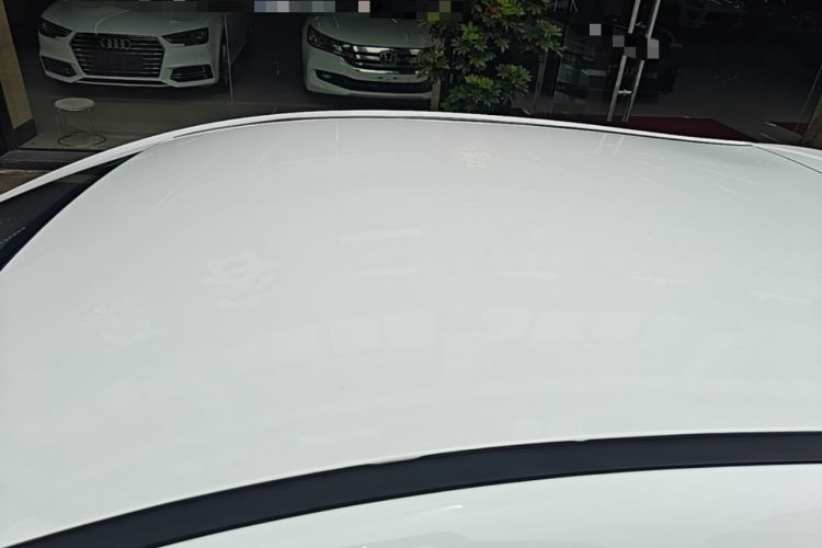 Used SOL E10X 2022 Flower Fairy Design Four-Leaf Clover Roof