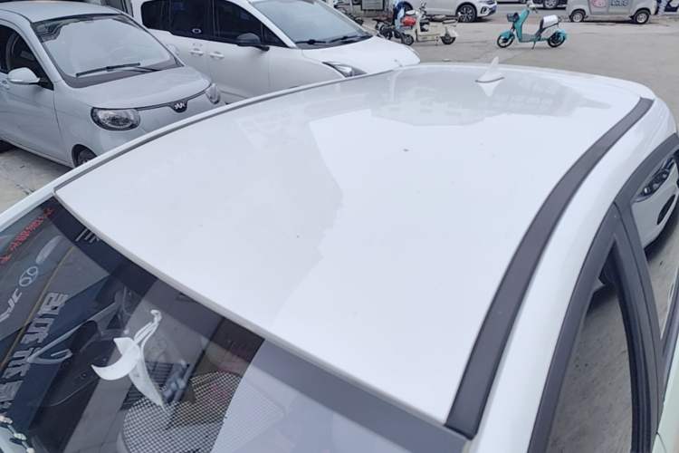 Used SOL E10X 2022 Flower Fairy Style Baby's Breath Roof