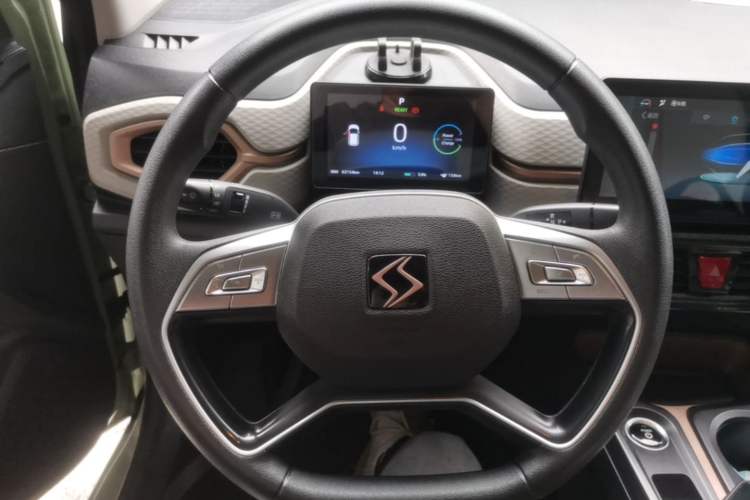 Used SOL E10X 2022 Flower Fairy Design Four-Leaf Clover Steering Wheel